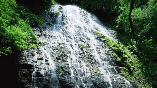 节能信息化独特